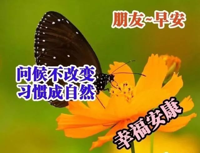 ϺףͼƬϺʺ