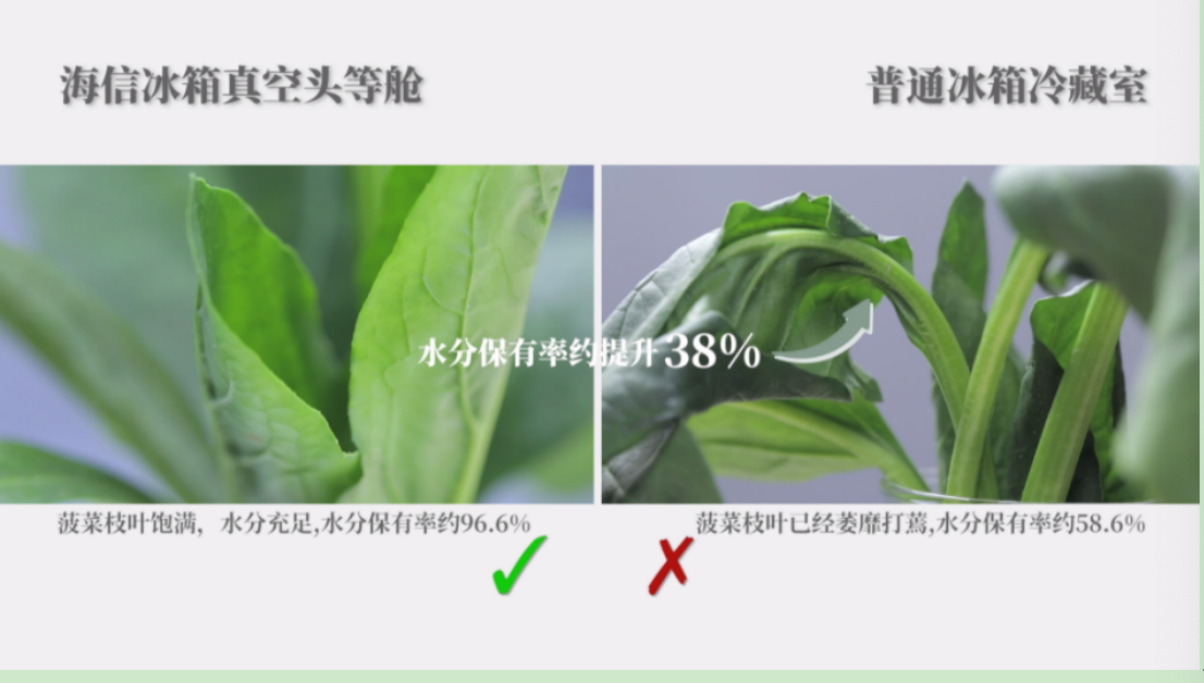 低温并非食材保鲜“万金油” :海信冰箱真空技术引发保鲜新思考-家电圈官网