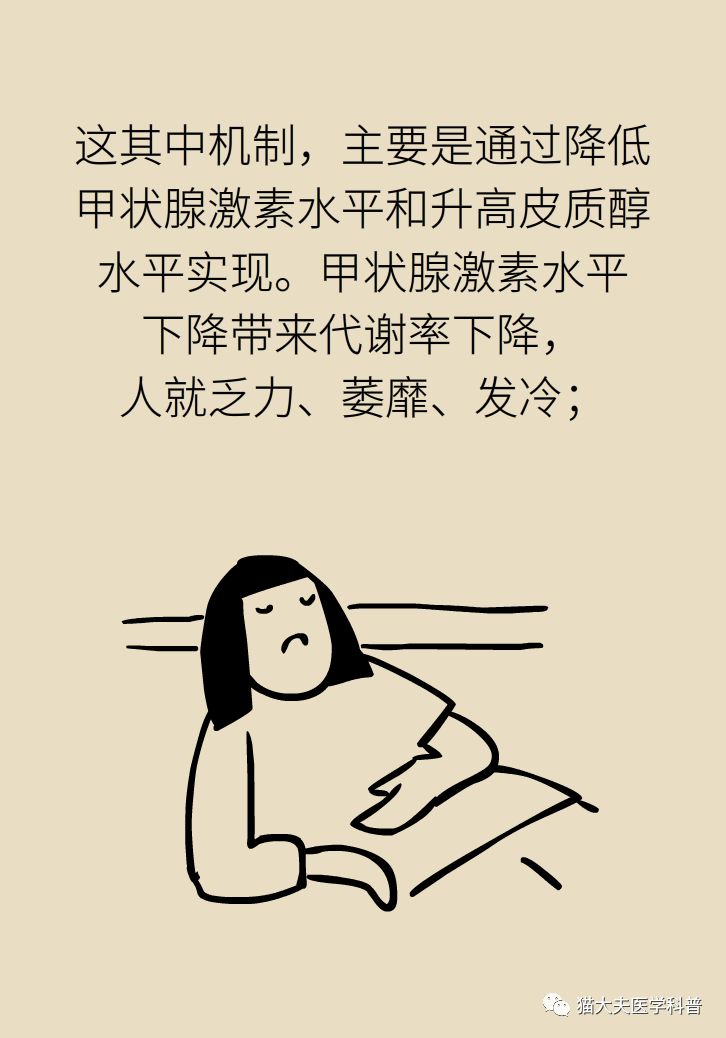 381edac776674f21bb842611a7c3ed33.jpeg