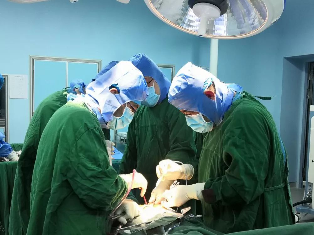 自北京大学第三医院驻派专家来我院长期坐诊,带教,开展各类手术以来