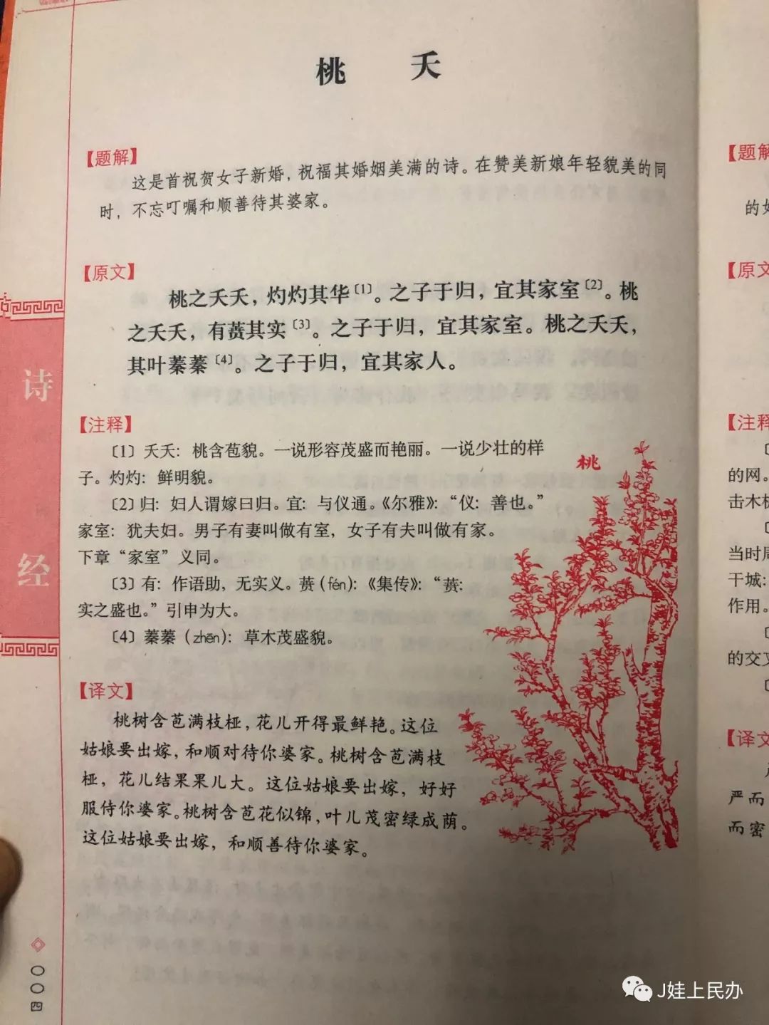 寒假背诗经桃夭打卡