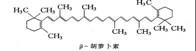 癌症很可怕，身体免疫很重要，胚胎干细胞粉墨登场