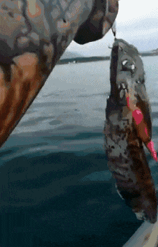 水是什么东西变成的 590b443cbb834c8e86911f7de4858a09.gif