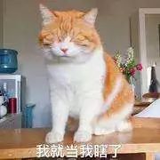 97年嫩妹空降成央视春晚主持!挤走董卿李思思等