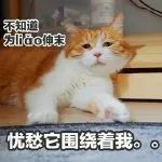 97年嫩妹空降成央视春晚主持!挤走董卿李思思等