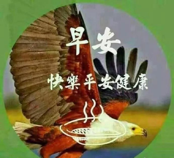 朋友圈最新版正能量问候祝福图片2020,早晨好表情图片