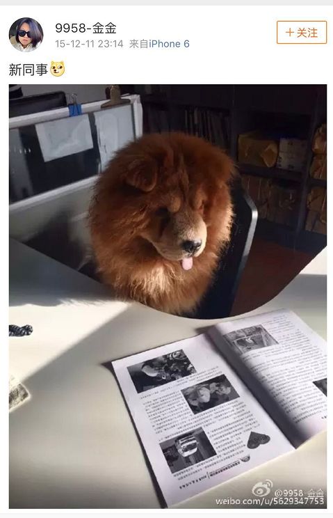 吴花燕事件：吃慈善人血馒头的人都该下地狱！