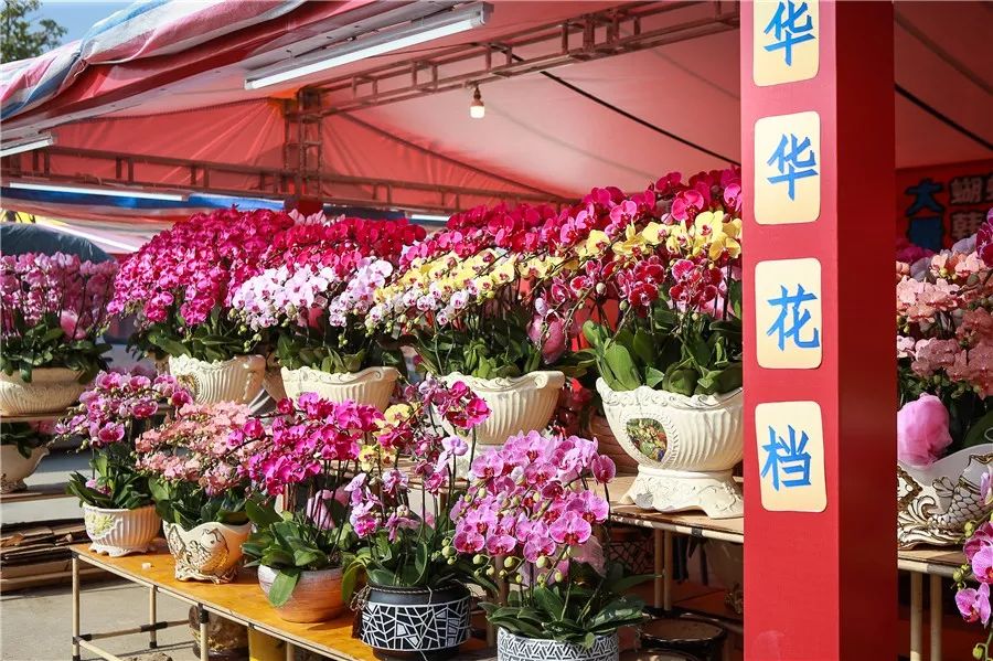 确认过眼神好玩好吃的小榄迎春花市今日开市