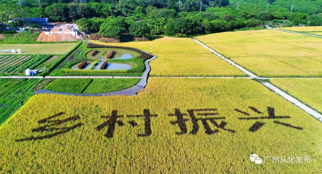 封开县第三季gdp_泉州,厦门与东莞,三座城市名气都很大,谁比较名不副实(2)