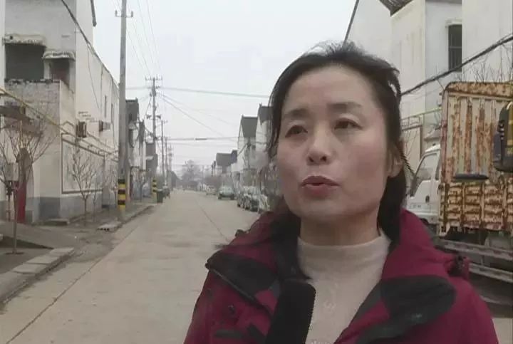 孟州市吴寨村第一书记李菊梅引项目办实事助脱贫