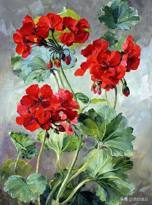 英国女画家annecotterill油画静物花卉