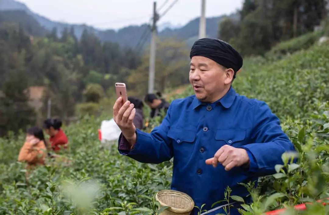 普通人怎么卖茶叶 8aa7bd59377c449697d045424d1ff9b3.jpeg