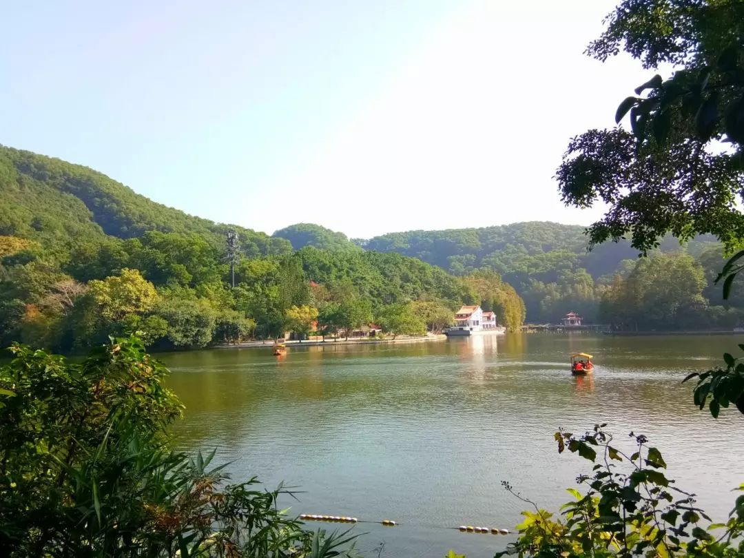 春节去仙湖植物园/弘法寺需提前预约!赶紧抢!