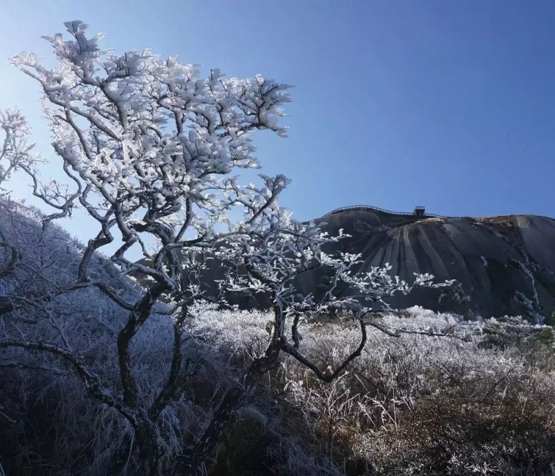 山就要进入到一年一度最美的季节—腊冬冬日的金饶山有三大美景:雪景