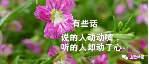 一生相伴简谱_相伴一生简谱歌谱(2)