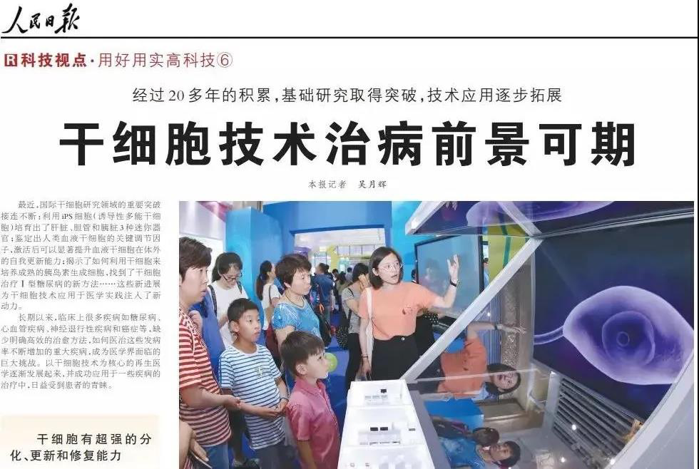 随着干细胞在国际上推广，胚胎干细胞已成为核心