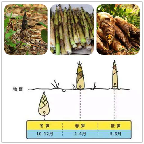 ca0c99246a8c46748a1488db3ee83d8d.jpeg