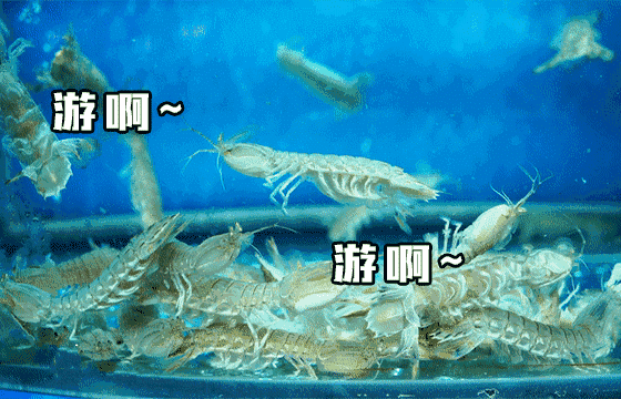 560_360gif 动态图 动图