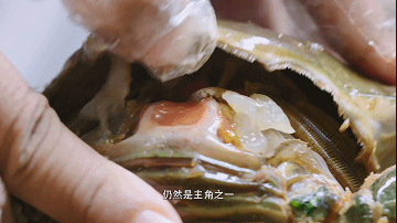 潮汕生腌，拿命吃我也愿意_手机搜狐网