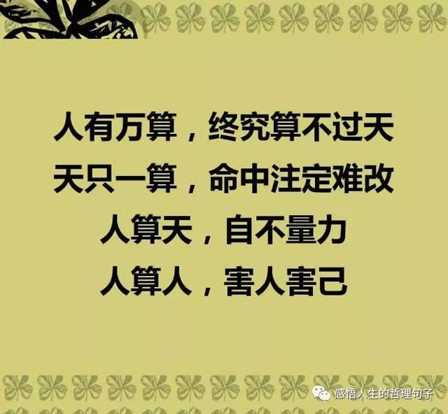 怎么样才能不被别人算计 de8e58a7e51347c38cb9b8694d9218de.jpeg