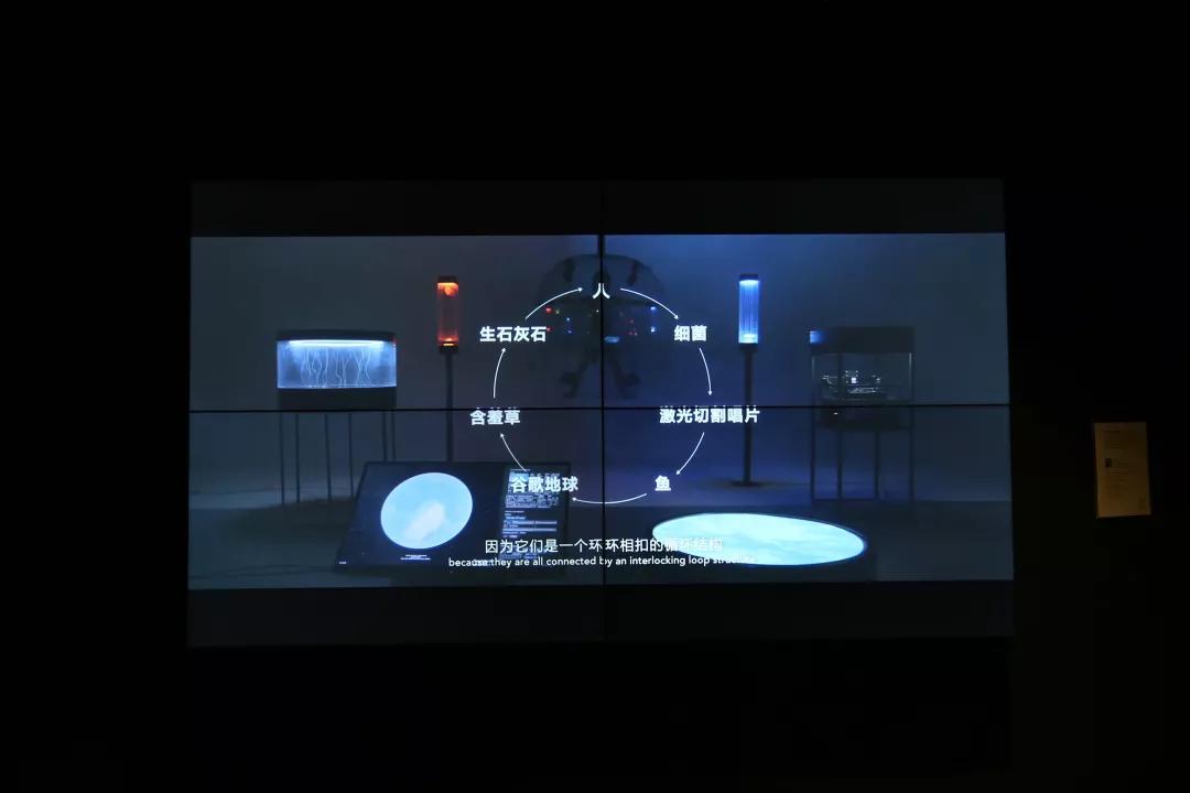 f24edcd0196b448ea4b90f01db8dc0f9.JPG