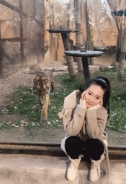 搞笑GIF趣图:美女，快点跑啊，后面的老虎扑上来了！_客官