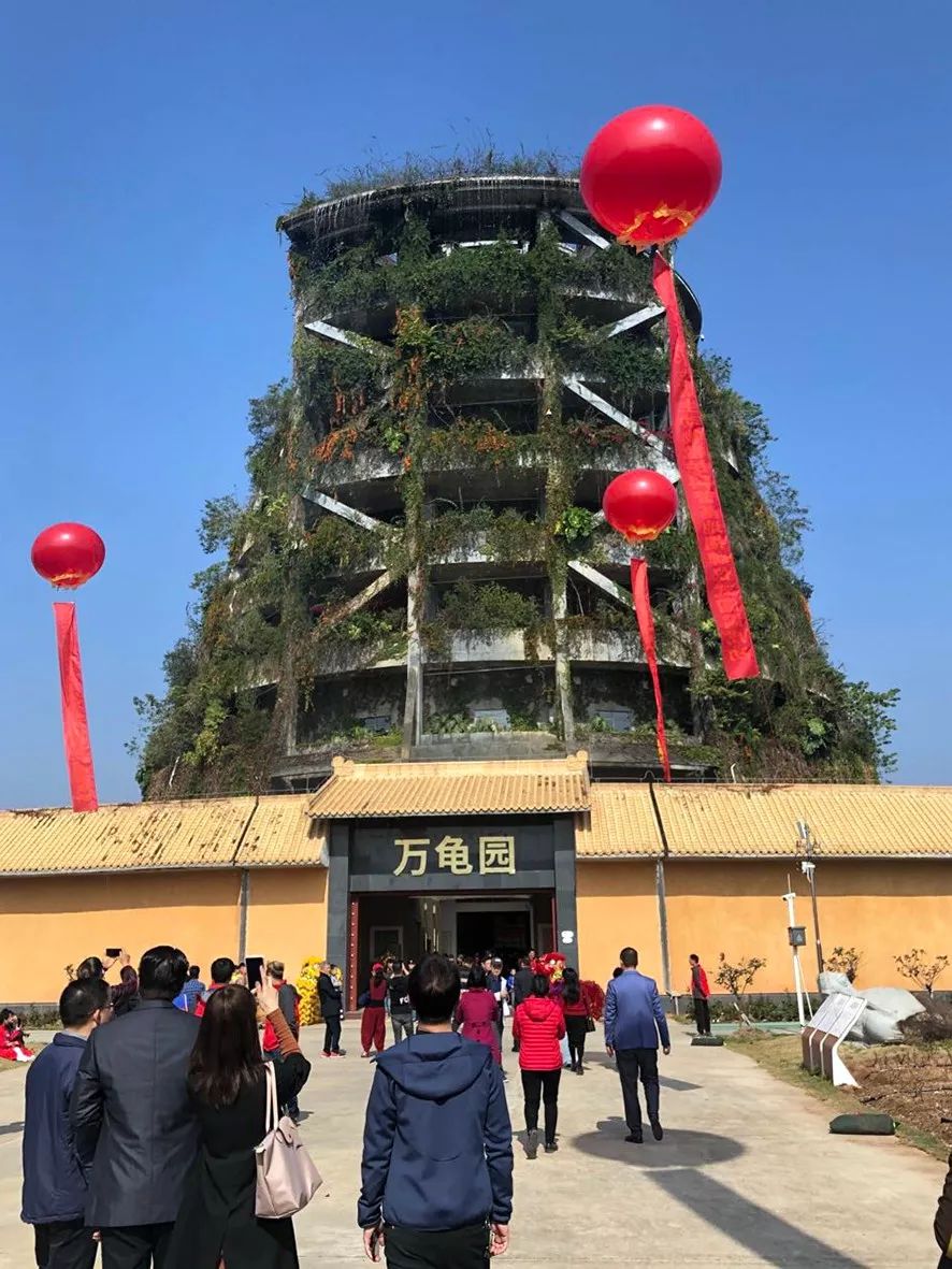 万龟园简短的挂牌仪式后,与会嘉宾兴致勃勃地参观了生态园,成为国家