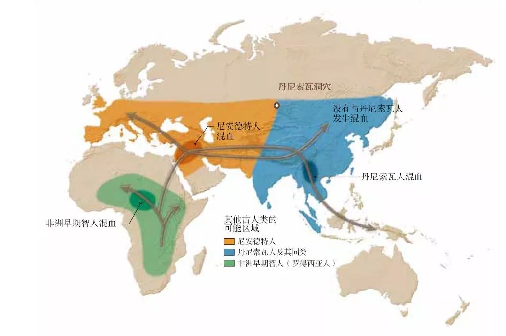 人口人种图_人口与人种图片(2)