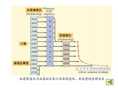 人口渗透压_人口普查