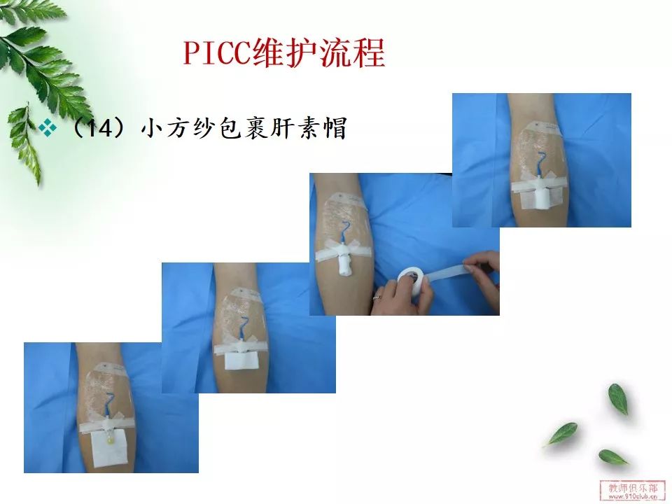 【ppt】picc导管的维护,这篇真的很详细!