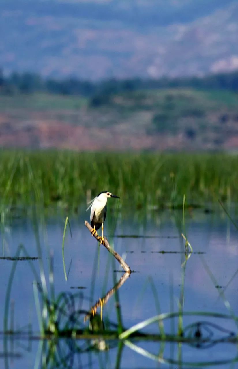 美丽中国-1545:有着“世界首条山区高速铁路”之称的成贵高铁 美丽中国-1545:有着“世界首条山区高速铁路”之称的成贵高铁