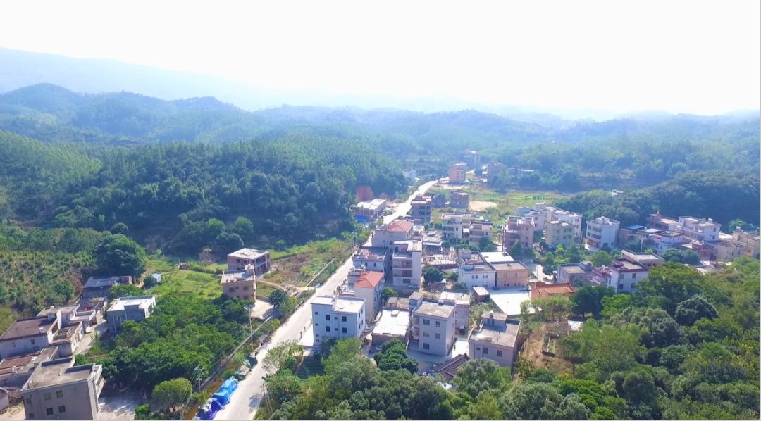 占陇镇下寨村池尾街道贵政山村梅林镇大高田村洪阳镇鸣岗村流沙东