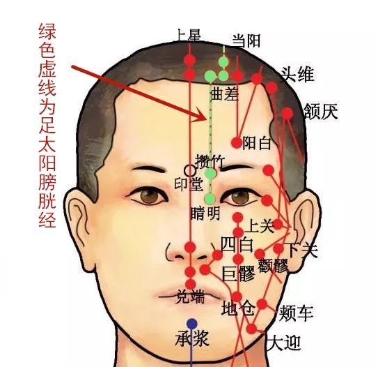 穴位知识 | 十二经脉·足太阳膀胱经之攒竹穴