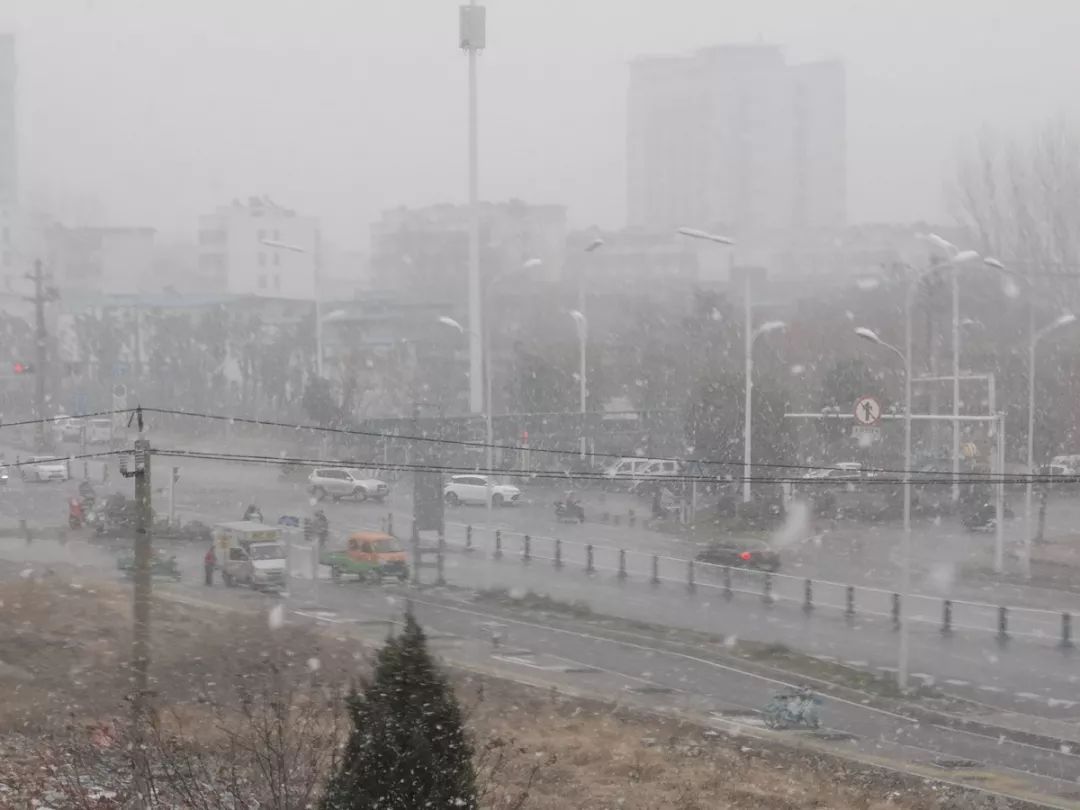 雪下大了!阜阳发布低温雨雪冰冻灾害预警