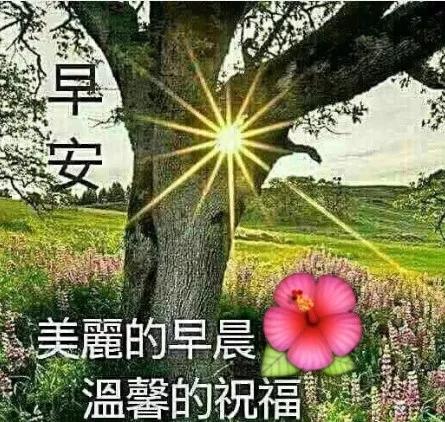 做人,记住感恩才不会怨,懂得珍惜才不会愧,早上好