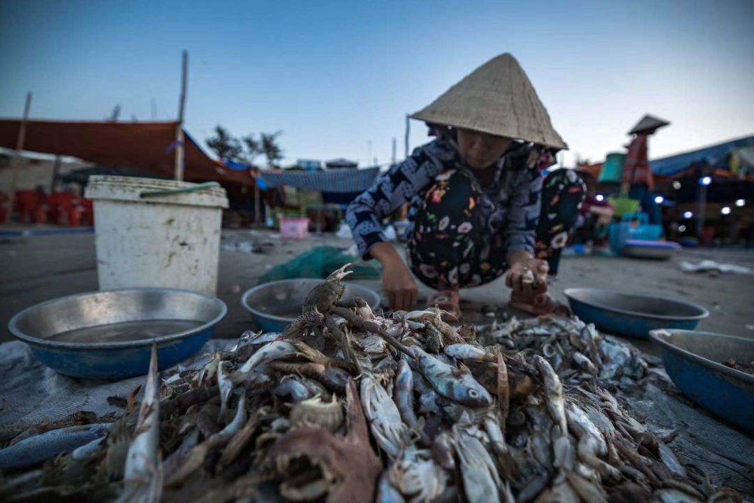 渔村可谓举世罕见,捕捞,批发,零售,烹饪在短短五十米内涵盖了海鲜行业