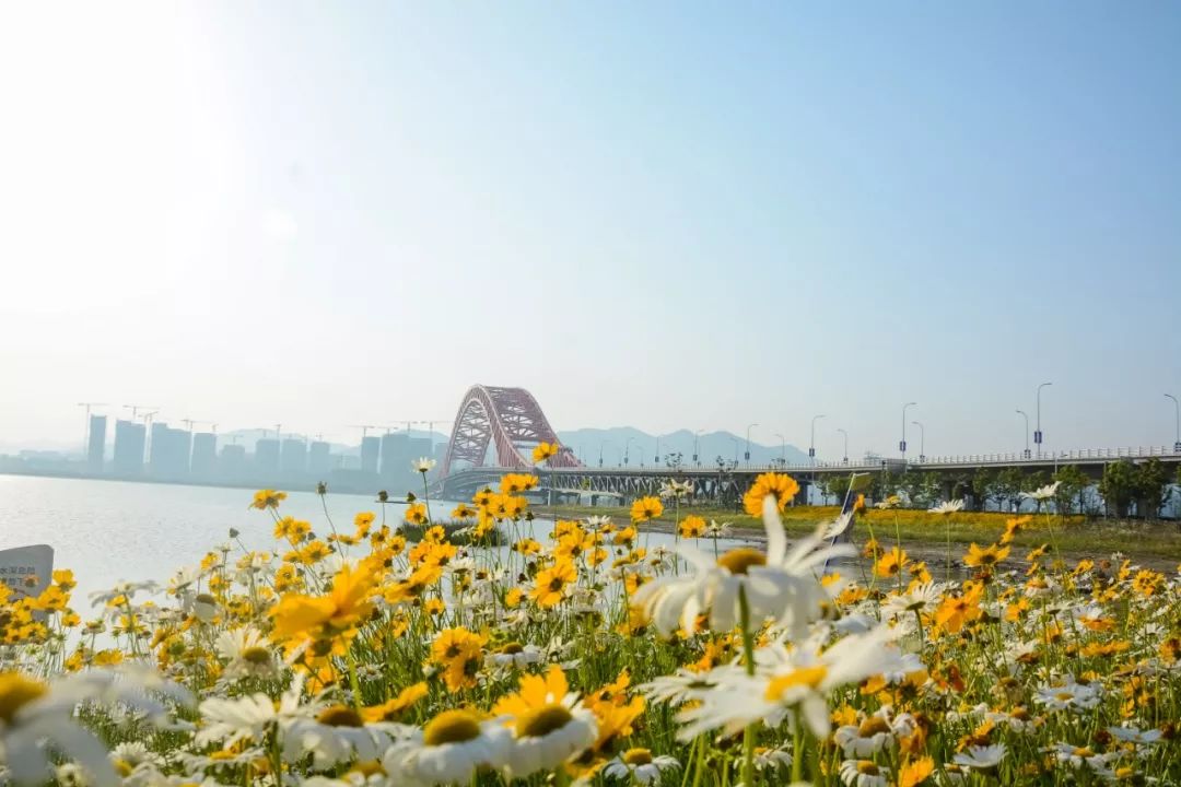 摄影大神拍下这些宁波美景,张张能当电脑屏保