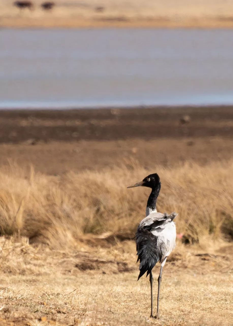美丽中国-1545:有着“世界首条山区高速铁路”之称的成贵高铁 美丽中国-1545:有着“世界首条山区高速铁路”之称的成贵高铁