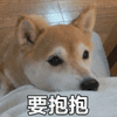 234_234gif 动态图 动图