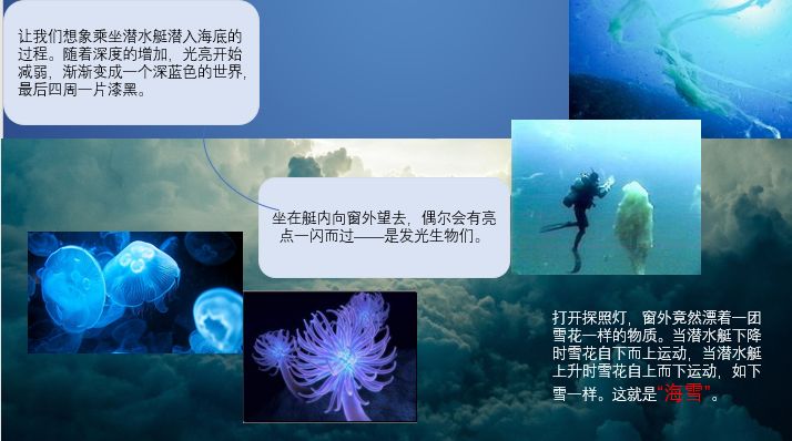 73768b47c4a24b9b96ec4f2835c9e792.jpeg