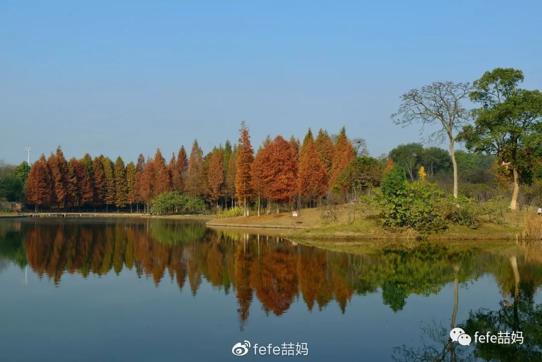 寒假去哪玩:长沙园林生态园(组图)