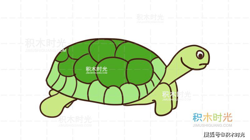 动物简笔画大全,画乌龟简笔画,积木时光简笔画大全