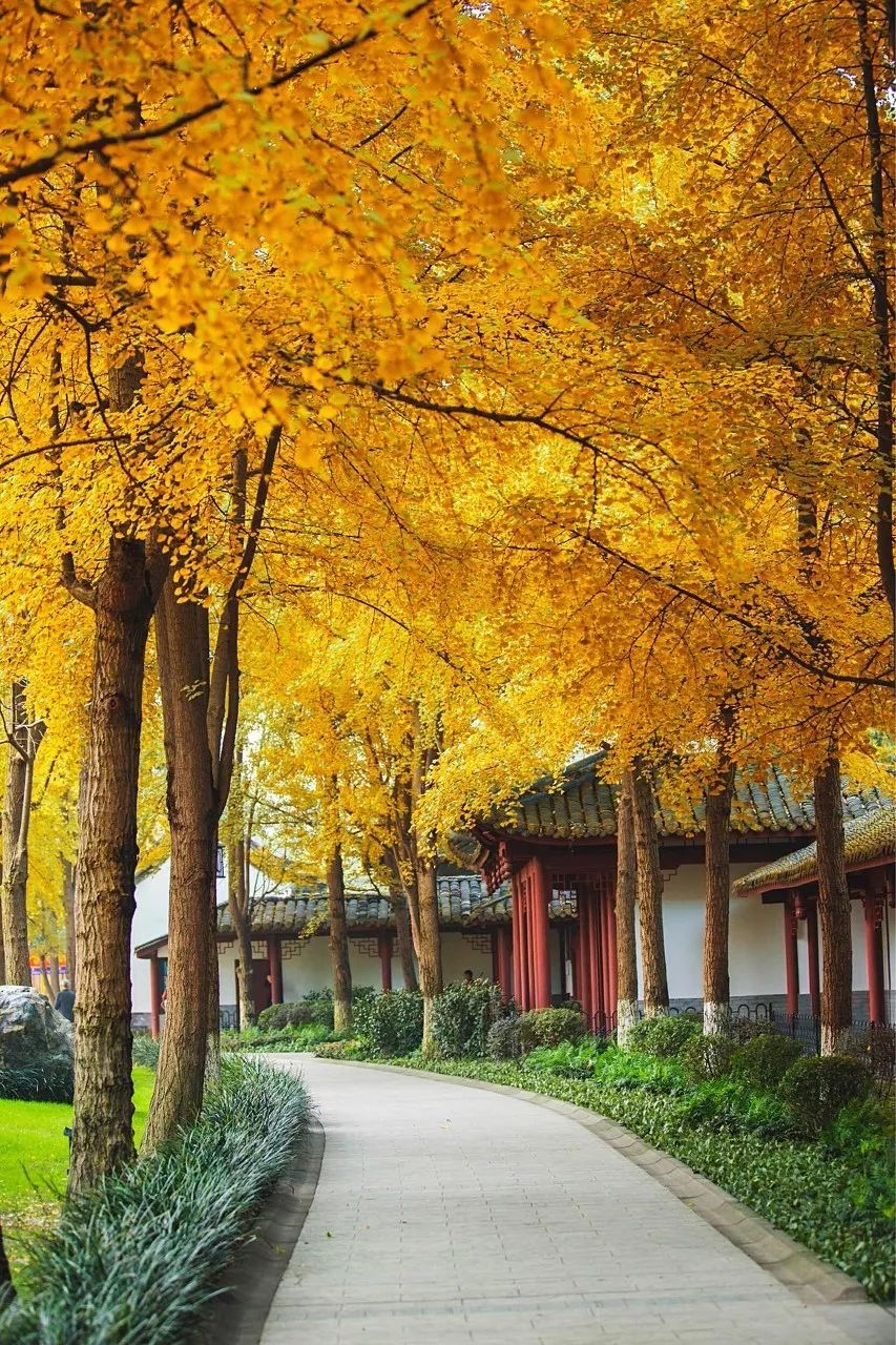 美丽中国-1545:有着“世界首条山区高速铁路”之称的成贵高铁 美丽中国-1545:有着“世界首条山区高速铁路”之称的成贵高铁