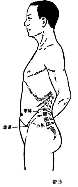 奇经八脉——带脉