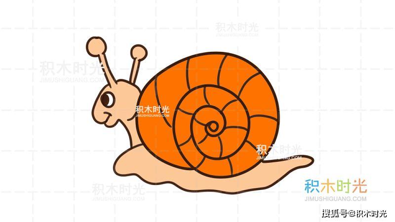 动物简笔画大全,画蜗牛简笔画,积木时光简笔画大全