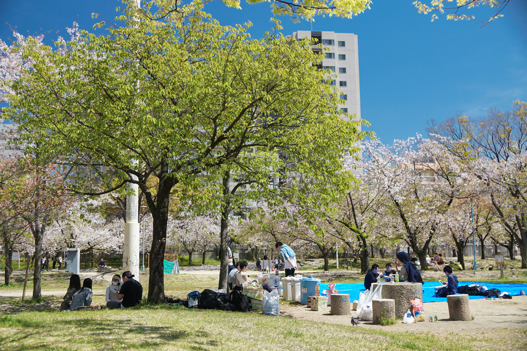 日本永住人口_日本人口图