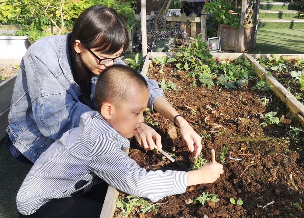 【快乐播种·伴我成长】 亲子种植活动诚邀您前来参与