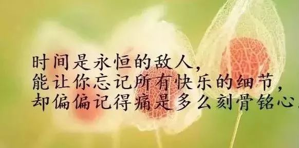 人海相遇简谱_茫茫人海相遇图片(3)