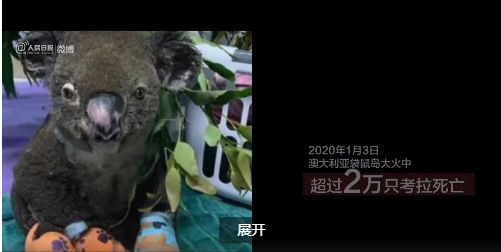 澳大利亚大火已排放二氧化碳约4亿吨 军方清理丧生山火的动物尸体