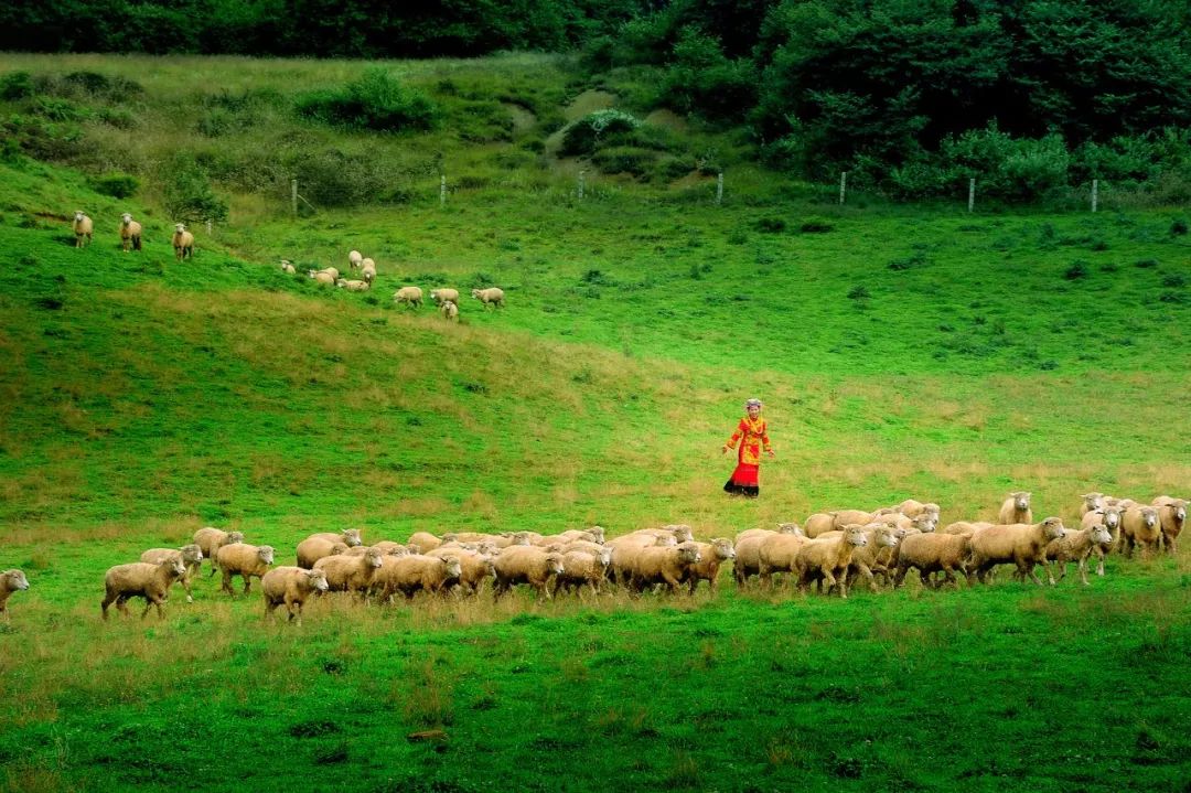 美丽中国-1545:有着“世界首条山区高速铁路”之称的成贵高铁 美丽中国-1545:有着“世界首条山区高速铁路”之称的成贵高铁